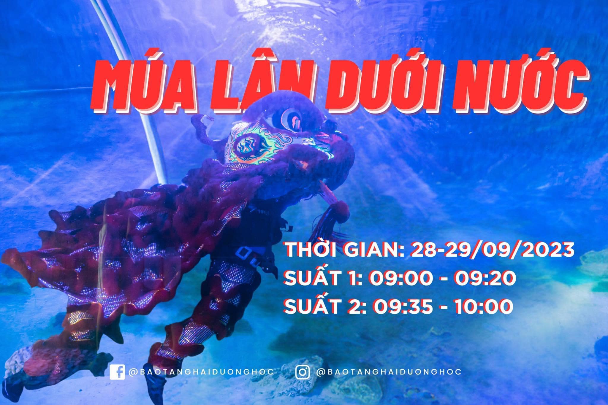 BIỂU DIỄN MÚA LÂN DƯỚI NƯỚC TẠI BẢO TÀNG HẢI DƯƠNG HỌC NHA TRANG